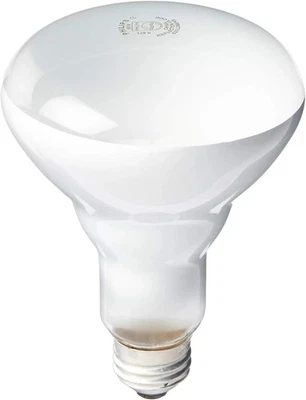 PHILIPS 408662 Soft White 65-Watt Br30 Indoor Flood Light Bulb, 4 Count (Pack of - Image 1 of 3