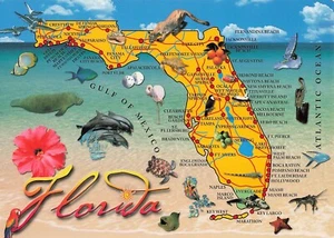 Florida Colorful Map Beach Vintage Postcard FL 1970s - Picture 1 of 2