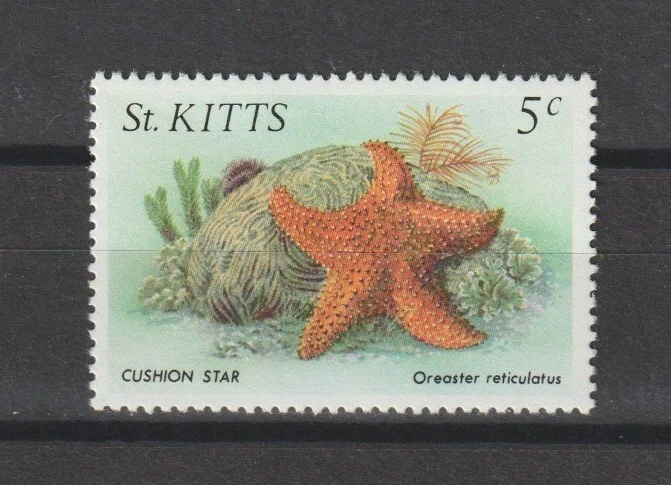 ST KITTS & NEVIS/ST KITTS 1984 SG 143w MNH Foto 1 de 1