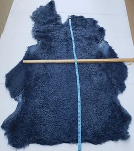 SHEEPSKIN PELT--Light Blue color, short wool - Picture 1 of 2
