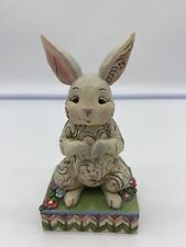 Jim Shore Heartwood Creek Retired “Cute and Cuddly” Easter Bunny Figurine quilt