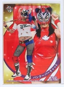 Vancouver Cat - 2017 BBM Women's Pro-Wrestling Trading Card - Picture 1 of 3