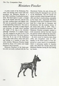 The Miniature Pinscher - CUSTOM MATTED - Vintage Dog Art Print - "G" - Picture 1 of 1