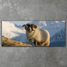 Sheep in Scotland Mountains Canvas Ready To Hang Wall Art Print Artwork 125x50 