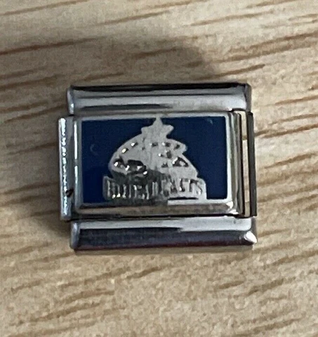 NHL Columbus Blue Jackets Italian Charm Link for Bracelet, Licensed Peter David Cover