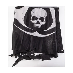 Ubisoft Memorabilia Assassin's Creed IV - Black Flag NM - Bild 1 von 2