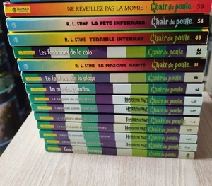 Livre CHAIR de Poule [Lot 14 tomes Horrorland 2 à 9 + chair poule] Bayard poche - Photo 1/9