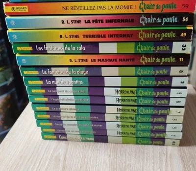 Livre CHAIR de Poule [Lot 14 tomes Horrorland 2 à 9 + chair poule] Bayard poche - Photo 1/4