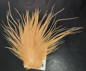 Apricot Orange Dry Fly Saddle Hackle Cape LONG THIN FLY TYING FEATHERS #64 - Picture 1 of 4