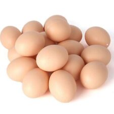 5 PCS Plastic Fake Chicken Eggs Poultry Layer Coop Hatching Simulation Dumm,