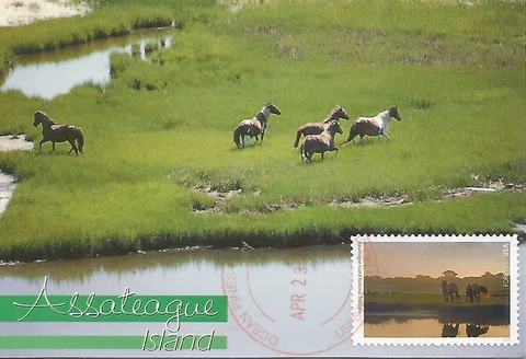 Assateague Island National Seashore Wild Horses USA Maximum Card Scott #5080f Cover