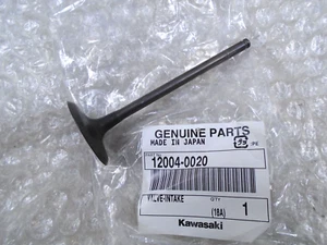 Kawasaki GTR1400 2008-2020 Engine Intake Inlet Valve New 12004-0020 - Picture 1 of 3
