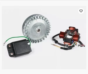 KIT STATORE MAGNETE +BOBINA VOLANO ACCENSIONE ELETTRICO BGM PIAGGIO CIAO SI FL50 - Picture 1 of 1