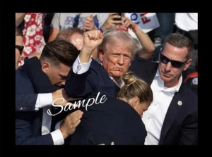 Trump Iconic Fight 2024 Flexible Fridge Magnet MAGA - Picture 1 of 1