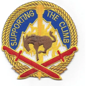 10th Mountain Division Sustainment Brigade Patch - Bild 1 von 6