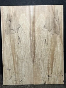SALVAGED CURLY SPALTED HARD ROCK MAPLE DROP TOP, ECO-FRIENDLY TONEWOOD - Imagen 1 de 6