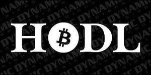 Bitcoin HODL BTC hold vinyl window sticker sign Crypto Currency blockchain decal - Picture 1 of 1