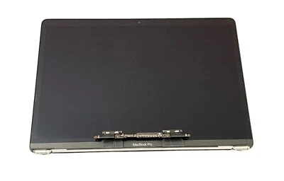 OEM Macbook Pro 13 A2159 A1989 A2289 A2251 2018 2019 LCD Display Assembly Silver - Image 1 of 4