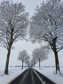 Original instructions LEGO Technic 8421 - pneumatic crane truck with motor, good