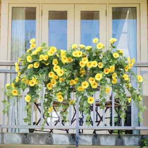 Artificial Vines Flowers Morning Glory Hanging Plants Fake Green Plant Home... - Picture 1 of 24