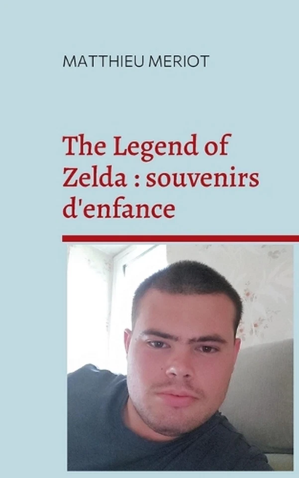 The Legend of Zelda: souvenirs d'enfance by Matthieu Meriot (French) Paperback B - Image 1 of 1