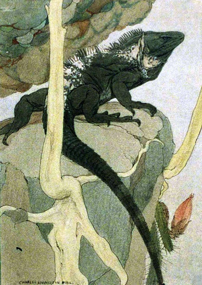 Spotted Lizard on a Rock : Charles Livingston Bull Desert Art to Frame - Image 1 of 1