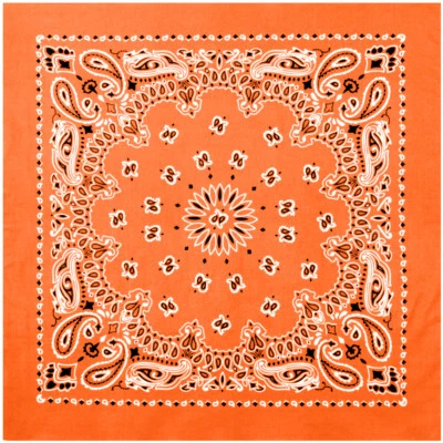 Bandana Rothco Trainmen Paisley Algodón Deporte Motociclista Cabeza Envoltura Facial Bandana 22" Foto 1 de 2