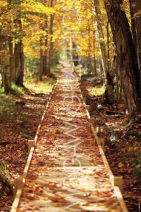 Boardwalk Michael Hudson stampa artistica 21x14 - Foto 1 di 1