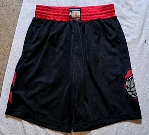 Toronto RaptorsMen's Mitchell & Ness 1995 Hardwood Classic Shorts Medium - Picture 1 of 9