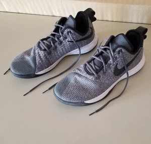 Nike Lebron Witness 3 Gray/Multi AO4433-002 Shoes Size 12. [FT 59] - Picture 1 of 11