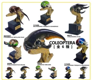 Coleoptera Handmade Painted Model Animal Limited Sculpture 6PCS New In Stock - Picture 1 of 7