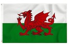 Giant Welsh Flag 8X5FT Wales Dragon CYMRU Sport Euro Cup Football Decor