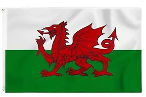 Giant Welsh Flag 8X5FT Wales Dragon CYMRU Sport Football Fan Support - Picture 1 of 7