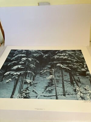 Estampado LE - Sombras descendentes lobos de madera - Robert Bateman Foto 1 de 4