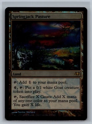 Magic The Gathering Eventide Springjack Pasture #179/180 Foil MTG TCG CCG - Image 1 of 2
