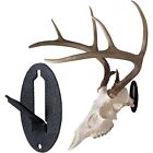 Enhance the Aesthetic of Your Trophy Game Animal Skulls with Hook Stand