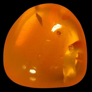 2.00 ct Fancy Cabochon Cut (8 x 8 mm) Unheated / Untreated Red Fire Opal - Picture 1 of 1