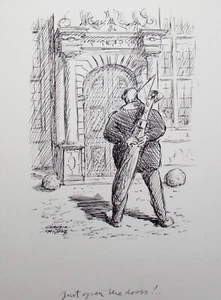 Claudio Munoz. Tintenbuch Illustration. Trockenfäule und Narzissen. Zeichnung unveröffentlicht - Bild 1 von 4