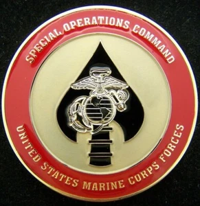 US Marine Corps Special Operations Command MARSOC SOCOM Raiders Challenge Coin - Foto 1 di 2