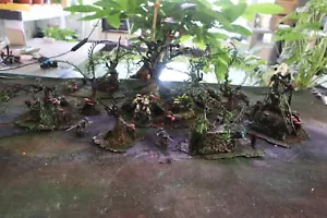 Warhammer 40k age of sigmar terrain scenery painted lot of 10 trees ,wargames - Picture 1 of 3