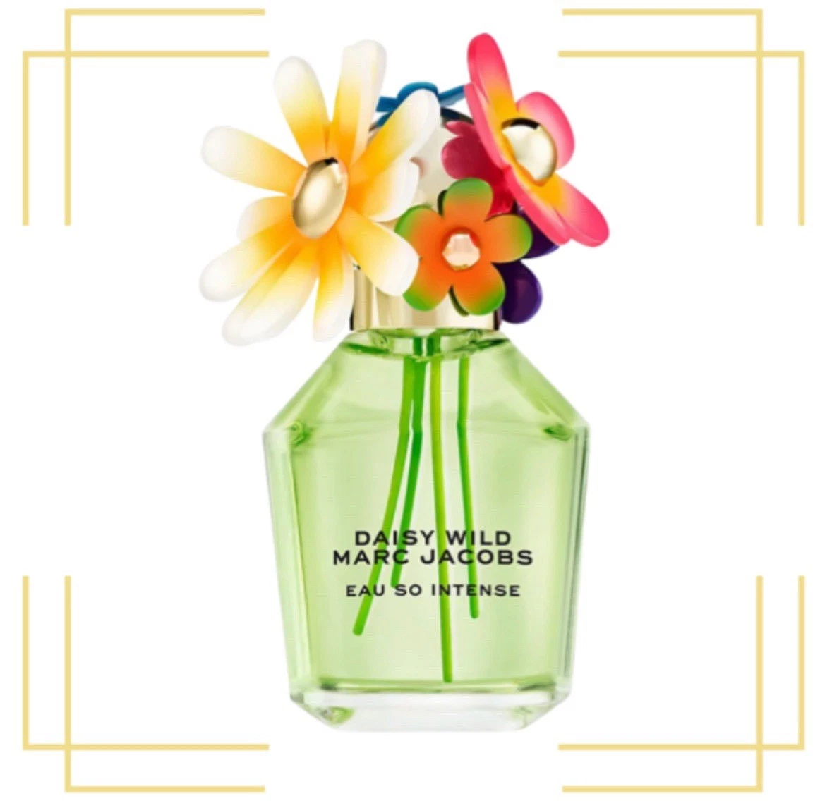 Daisy 小雏菊女性淡香精女| eBay