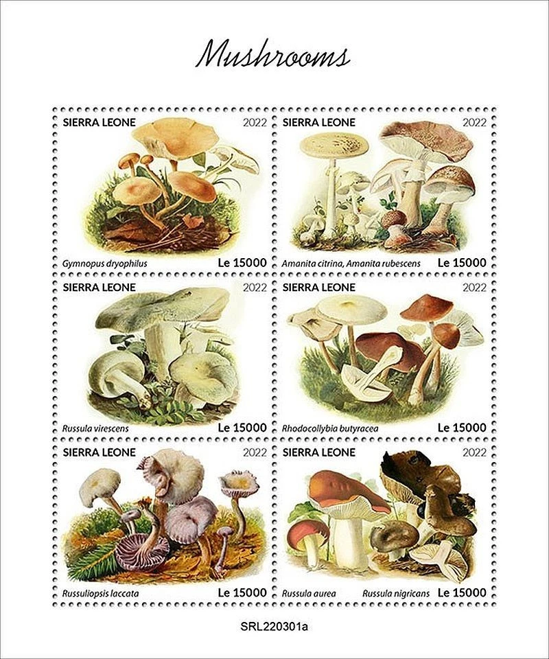 MUSHROOMS & FUNGI MNH 6v-Stamp Sheet #117 (2022 Sierra Leone) - Image 1 of 1