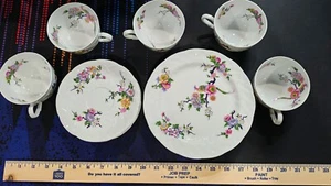 Bernardaud Limoges France "Bengali" Cup & Saucer BIRD OF PARADISE Place Set 5 - Picture 1 of 5