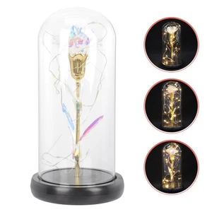  Immortal Flower Ornament Preserved Carnation in Glass Desktop Mothers' Day - Picture 1 of 12