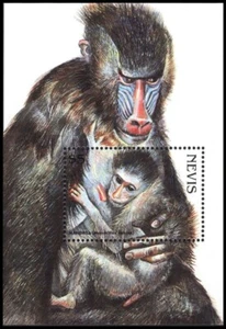 NEVIS 1074 (SG1193) - Hoja de recuerdos del mandril "Mandrillus esfinge"" (pb53571) - Imagen 1 de 1