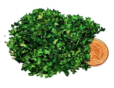 Dolls House Scatter Of Miniature Imitation Green Leaves Tumdee 1:12 Scale Garden