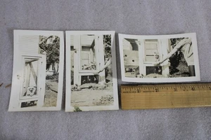 3 Vintage 20er Jahre Käfig Haustier Waschbär Tier Foto Bild Photograph C2-3 - Bild 1 von 4