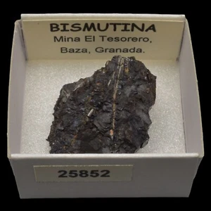 BISMUTINA (Mina el Tesorero, Baza, Granada) #25852 / Bismuthinite - Bild 1 von 1