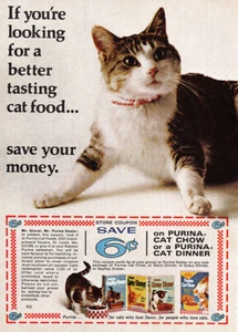 1968 Purina Cat Chow: Better Tasting Cat Food Vintage Print Ad - Picture 1 of 1