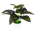 Potted Plant Mini Artificial Bonsai Fake Green Leaves Party Props